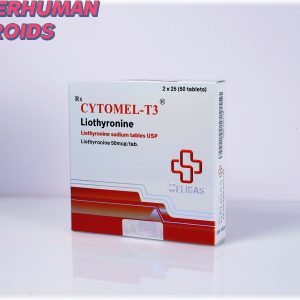LIOTHYRONINE SODIUM (T3) from Beligas Pharma