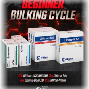 Beginner Bulking Cycle