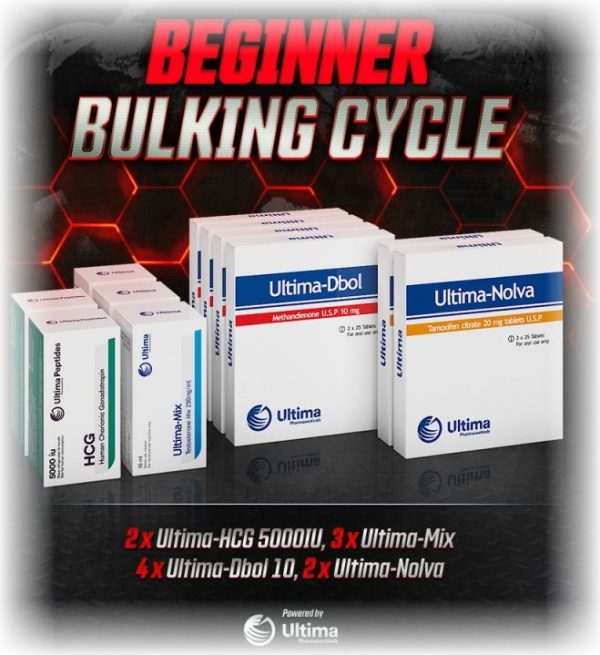 Beginner Bulking Cycle